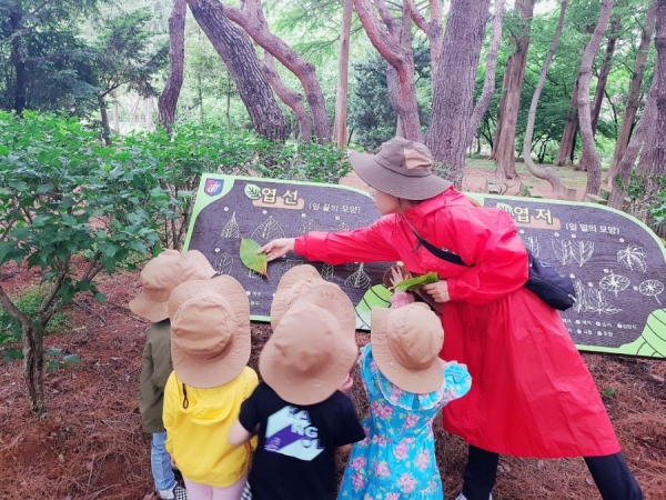 어린이 방문객들이 원광대 자연식물원을 찾아 지도교사로부터 이곳 식물에 대한 설명을 듣고 있다.