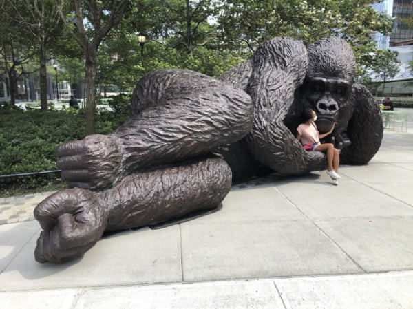 25일(현지시간) 미국 뉴욕의 허드슨 야드에 있는 벨라 앱저그 공원에 '킹 냐니'라는 제목의 청동 고릴라 조각상이 설치돼 있다. 이 조각품을 제작한 부부 예술가 길리와 마크 섀트너는 "이 작품은 멸종 위기에 처한 동물들에 대한 인식을 심어주기 위한 것"이라고 밝혔다. /뉴시스
